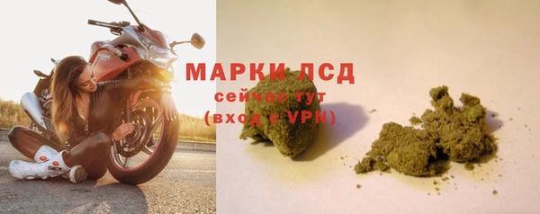 СК Абаза
