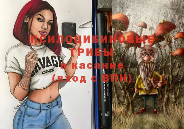 ГАЛЛЮЦИНОГЕННЫЕ ГРИБЫ Покачи