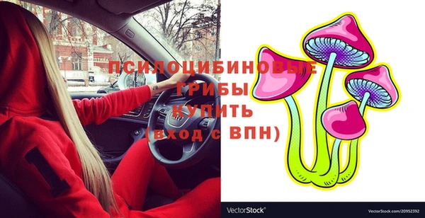 СК Абаза